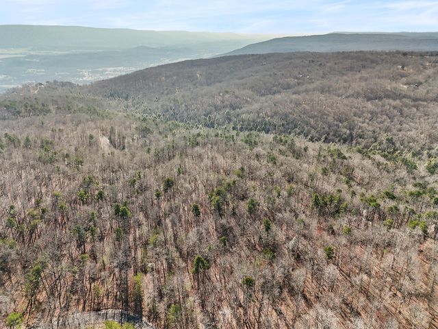 0 Tall Tree Trail 406, Dunlap, TN 37327
