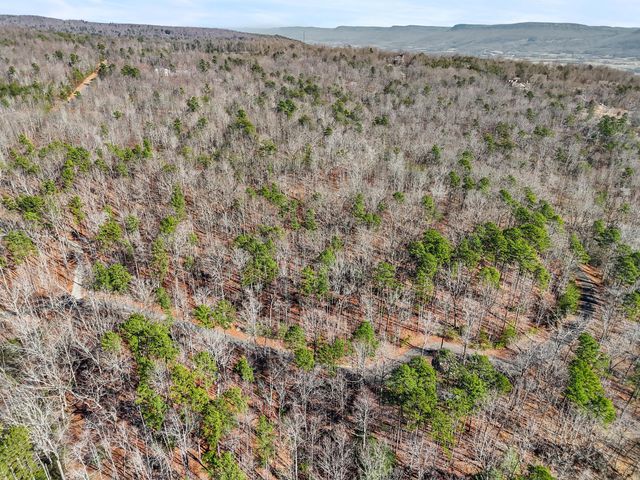 0 Tall Tree Trail 406, Dunlap, TN 37327