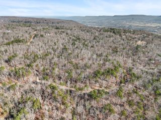 0 Tall Tree Trail 406, Dunlap, TN 37327
