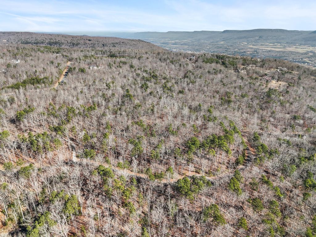 0 Tall Tree Trail 406, Dunlap, TN 37327
