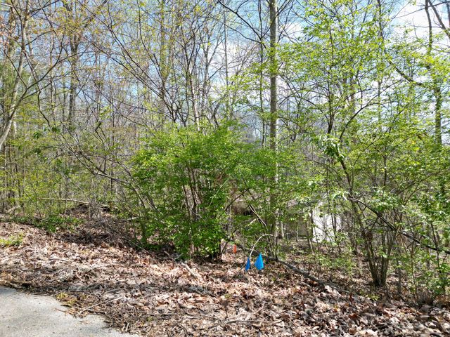 10 Valley View Drive Drive, Nancy, KY 42544