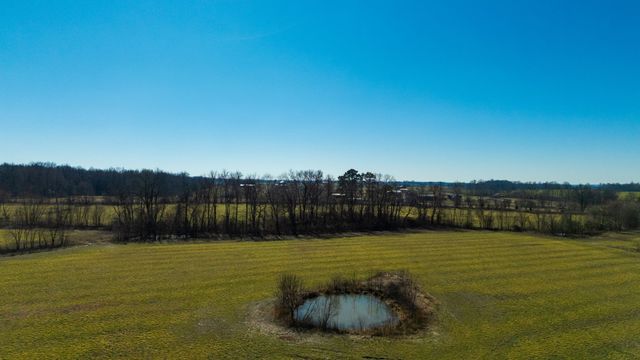 1902 Kinneys Rd, Adams, TN 37010