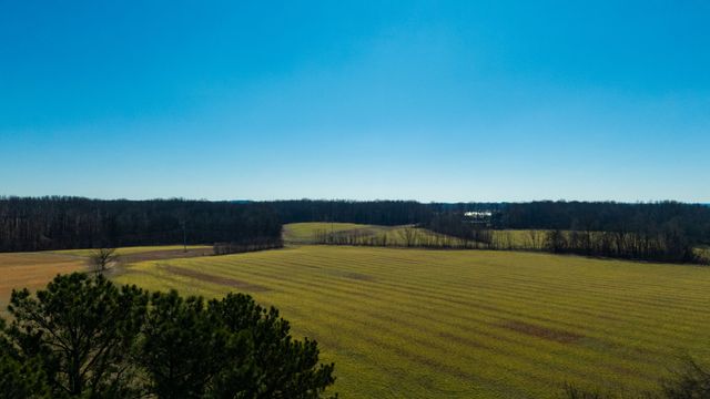 1902 Kinneys Rd, Adams, TN 37010