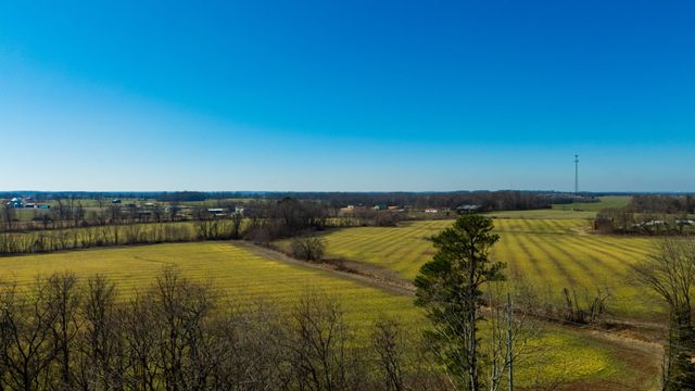 1902 Kinneys Rd, Adams, TN 37010