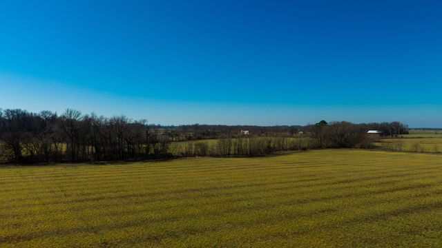 1902 Kinneys Rd, Adams, TN 37010