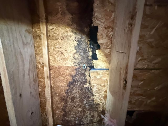 15900 Sandburg Street, Romulus, MI 48174