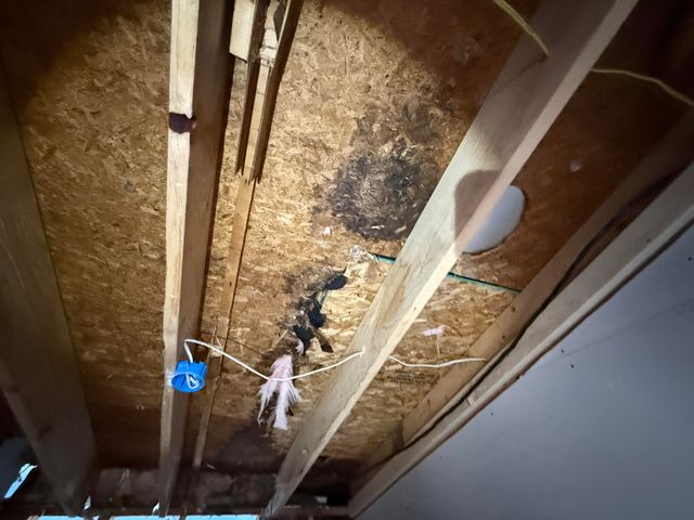 15900 Sandburg Street, Romulus, MI 48174