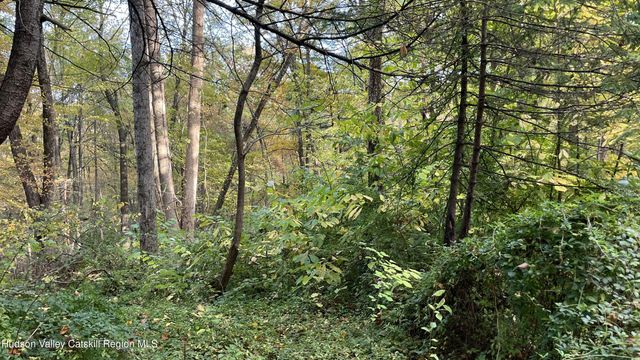 407 Swartekill Road, Highland, NY 12528