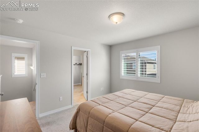 7408 Rufous Fronted View, Colorado Springs, CO 80923