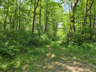 26 +/- Acres Mostetler Road, Harrison, MI 48625