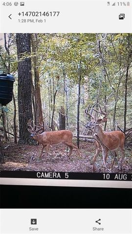 1217 Youngs Farm Road, Cedartown, GA 30125