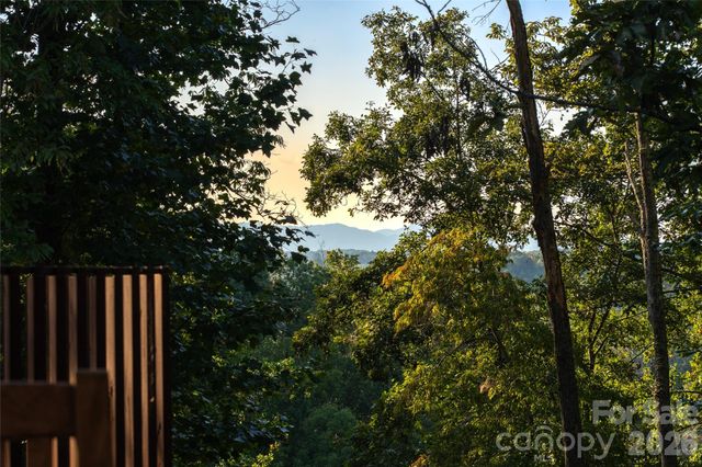 34 Bee Balm Way, Asheville, NC 28804