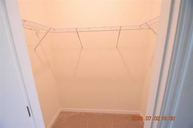 32003 CONCHSHELL SAIL STREET, Wesley Chapel, FL 33545