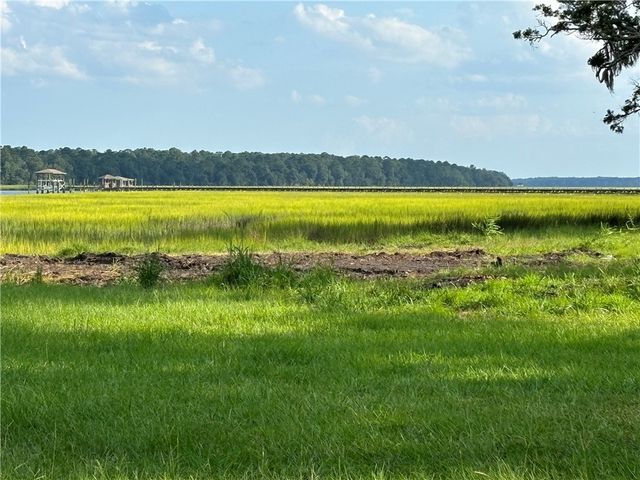 1031 NE Journey Street NE, Townsend, GA 31331