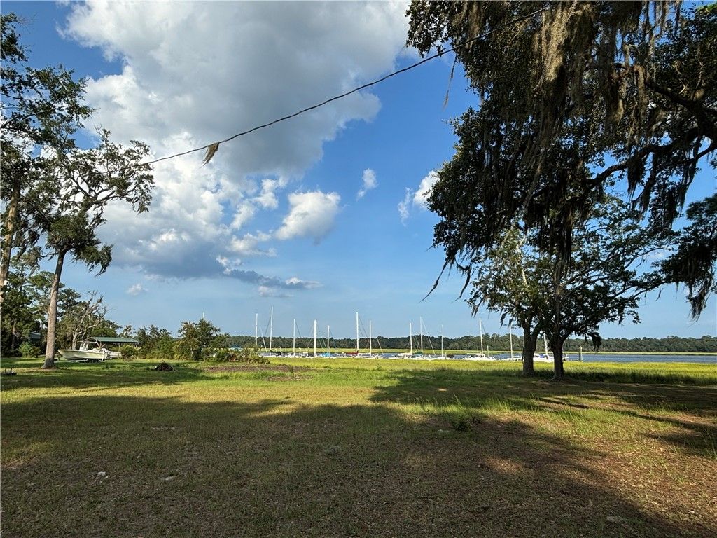 1031 NE Journey Street NE, Townsend, GA 31331