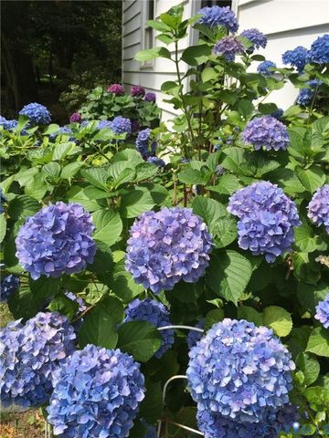 6287 Queens Lace Rd, Mechanicsville, VA 23111