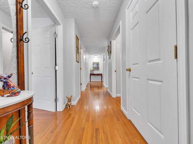 708 Chambers Way, Knoxville, TN 37920