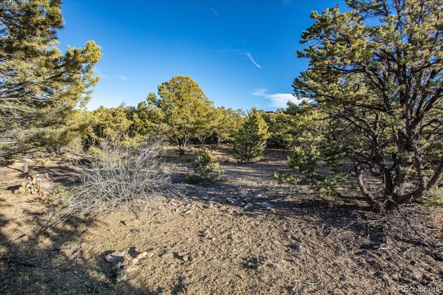 5450 Longbranch Road, Salida, CO 81201