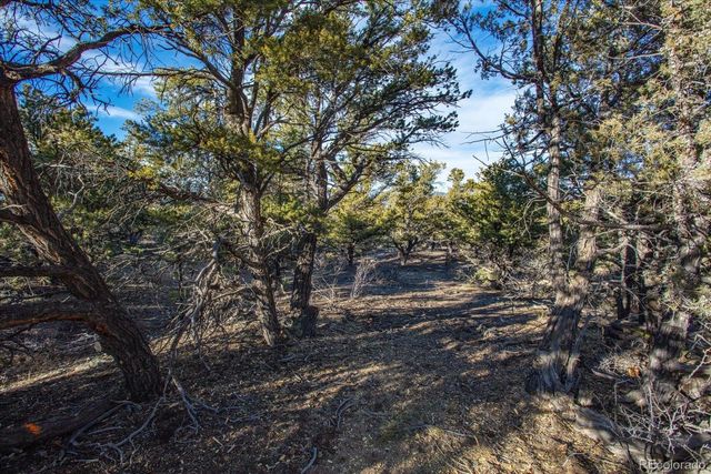 5450 Longbranch Road, Salida, CO 81201