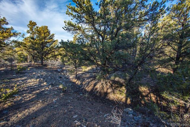 5450 Longbranch Road, Salida, CO 81201
