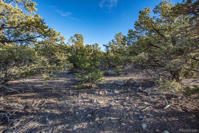 5450 Longbranch Road, Salida, CO 81201