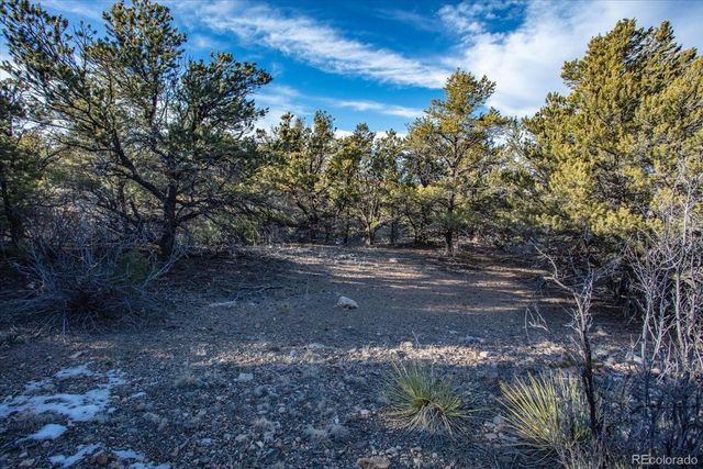 5450 Longbranch Road, Salida, CO 81201