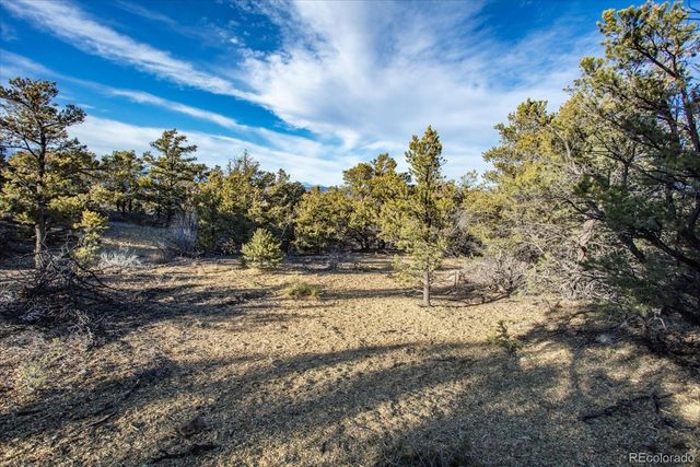 5450 Longbranch Road, Salida, CO 81201