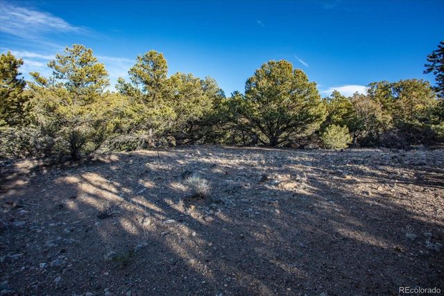 5450 Longbranch Road, Salida, CO 81201