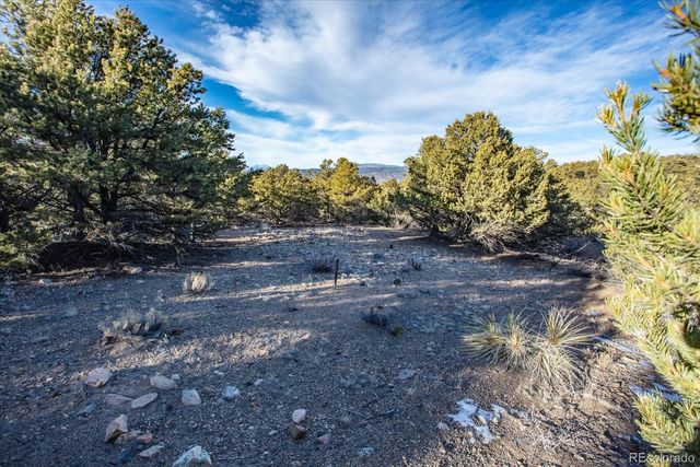 5450 Longbranch Road, Salida, CO 81201