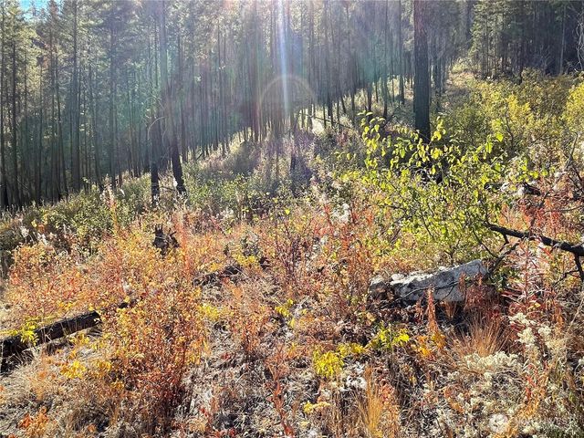 1 C S. Lakeshore Rd., Chelan, WA 98816