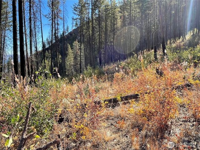 1 C S. Lakeshore Rd., Chelan, WA 98816