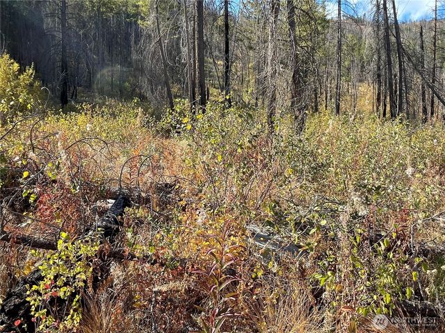 1 C S. Lakeshore Rd., Chelan, WA 98816