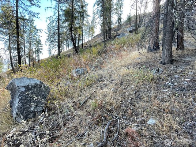 1 C S. Lakeshore Rd., Chelan, WA 98816