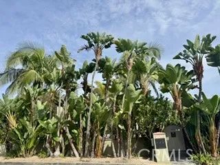 343 Myrtle Street B, Laguna Beach, CA 92651