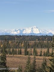 Tract 20 Zeke Street, Ninilchik, AK 99639