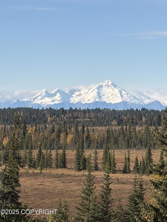 Tract 20 Zeke Street, Ninilchik, AK 99639