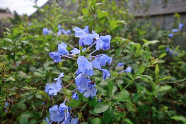 2445 CHRISTINE DRIVE, Titusville, FL 32796