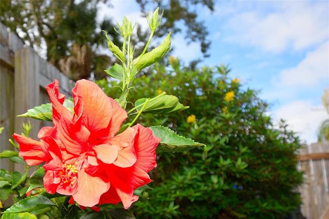 2445 CHRISTINE DRIVE, Titusville, FL 32796