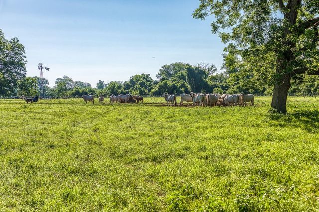 20755 Holle Lane, Washington, TX 77880