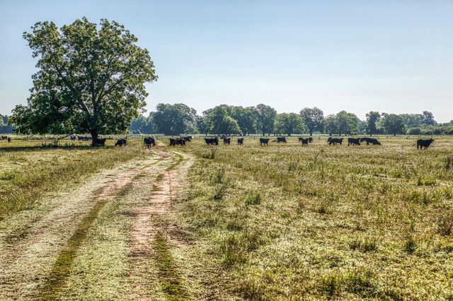 20755 Holle Lane, Washington, TX 77880