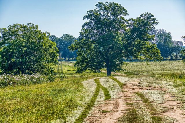 20755 Holle Lane, Washington, TX 77880