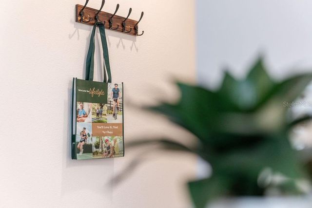 1535 PJ MARTIN COURT, The Villages, FL 32163