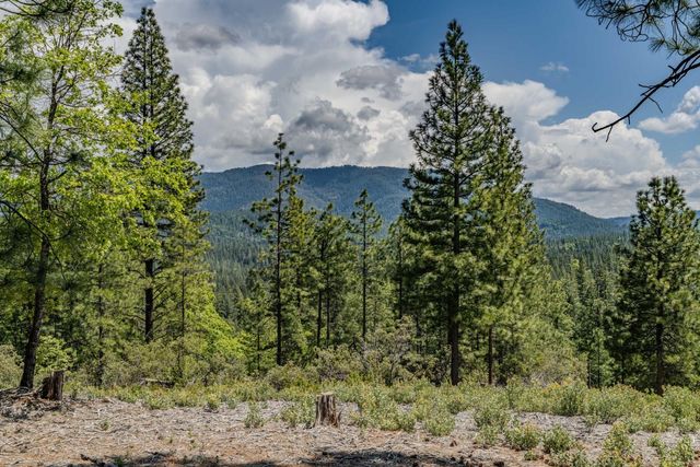 7250 Mitchell Mill Rd, Wilseyville, CA 95257
