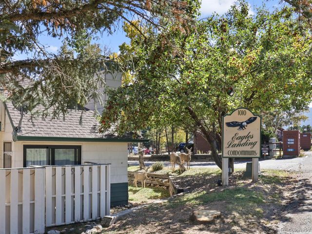 1010 S Saint Vrain Avenue 2, Estes Park, CO 80517