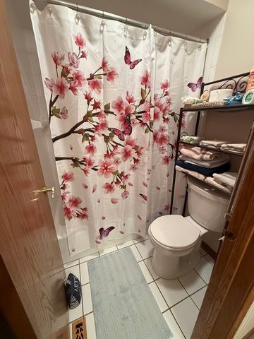 804 Deerpath Lane, Elwood, IL 60421