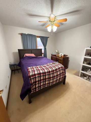 804 Deerpath Lane, Elwood, IL 60421