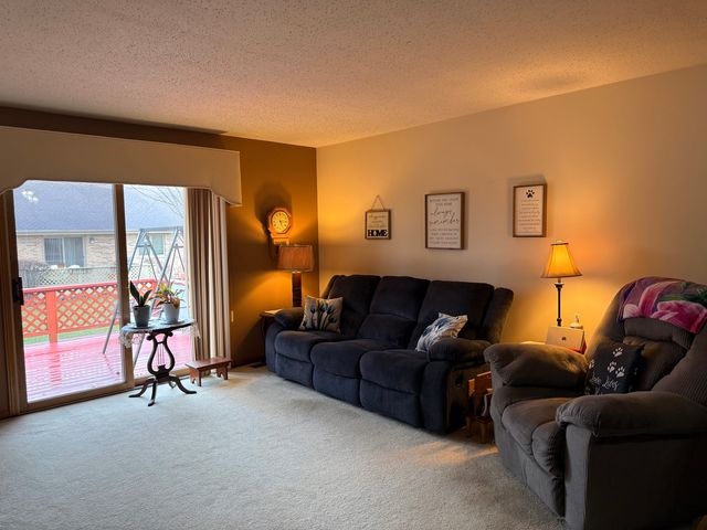 804 Deerpath Lane, Elwood, IL 60421