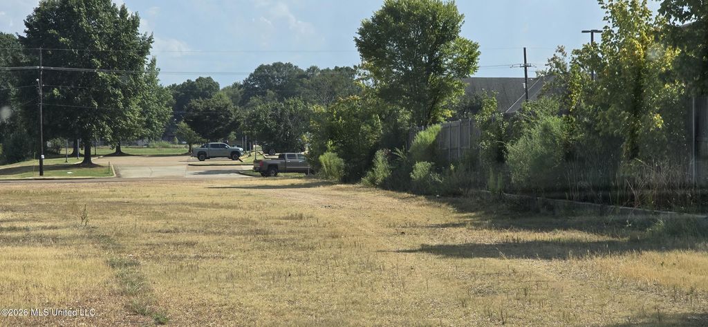 10 Norfleet Drive, Senatobia, MS 38668 — photo 3