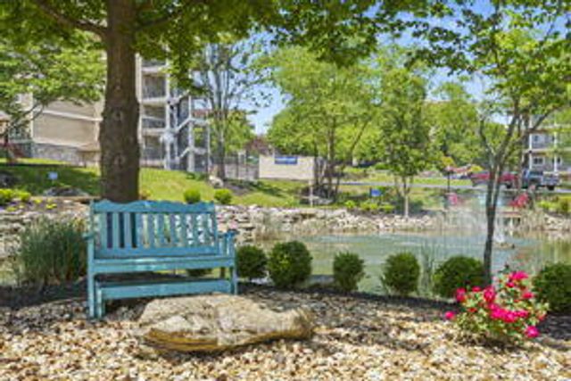 240 Meadow Ridge Lane 4, Branson, MO 65616