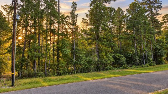 12-2-1 Grand View, Huntsville, TX 77340